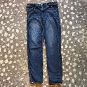 American Eagle Outfitters Ne(x)t Level Stretch Tall Skinny Jeans